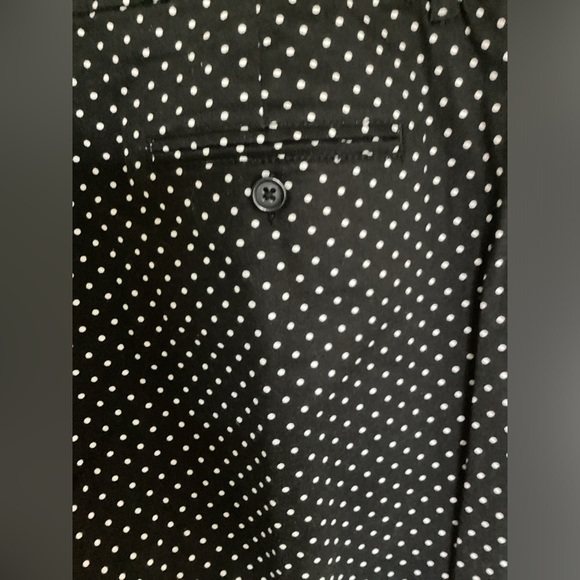 Zac & Rachel polka dot shorts flat front NWOT - Picture 3 of 5